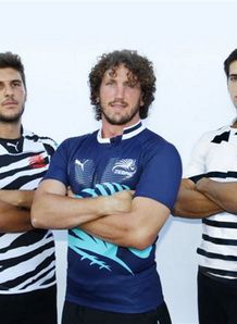 Zebre in their three shirts