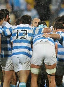pumas pumas
