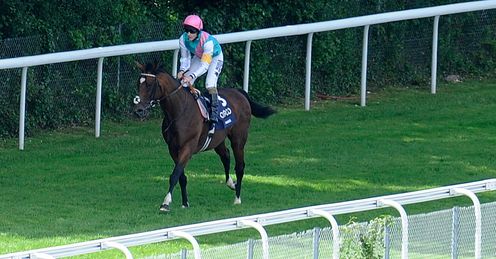 Frankel; the finest horse you'll ever see?