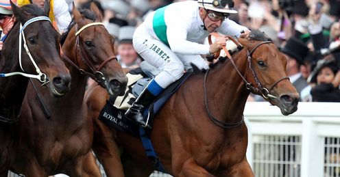 Moonlight Cloud: expect a Mile high display?