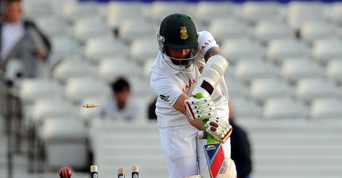dale steyn bowled headingley