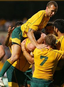 wallabies v boks wallabies v boks