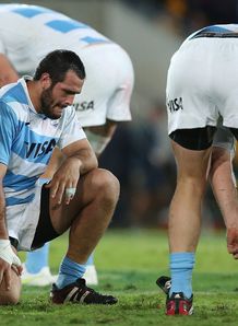 pumas pumas