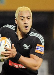 sinoti sinoti aironi now zebre
