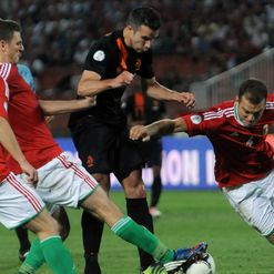 Van Persie: Fitness concern