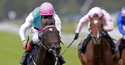 Famous Name Curragh 2012 New