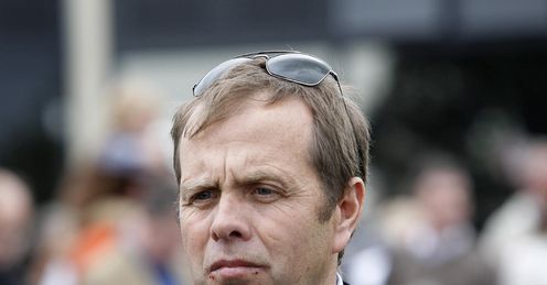 Ger Lyons: has turned Lily's Angel into a leading contender