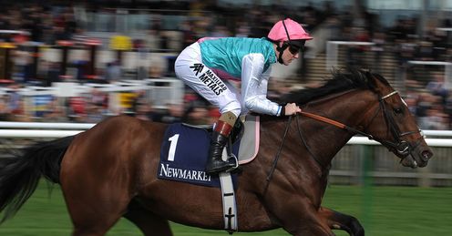 Frankel: heavy ground could work in his favour at Ascot, says Ed