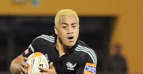 sinoti sinoti aironi now zebre sinoti sinoti aironi now zebre