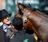 Alex Hammond remembers Sir Henry Cecil and previews 