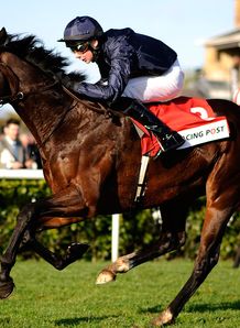 Grecian Tiger, Egyptian Warrior and Shield are fascinating runners in Sunday's Killiney INH Flat Race at Leopardstown