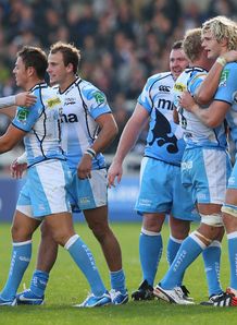 sale sharks sale sharks