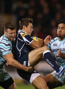 sale v tigers Rob Miller Adam Thompstone sale v tigers Rob Miller Adam Thompstone