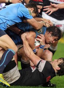 sharks v blue bulls sharks v blue bulls