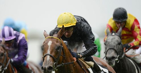Biographer: can run well in Gold Cup at Ascot, says Ed
