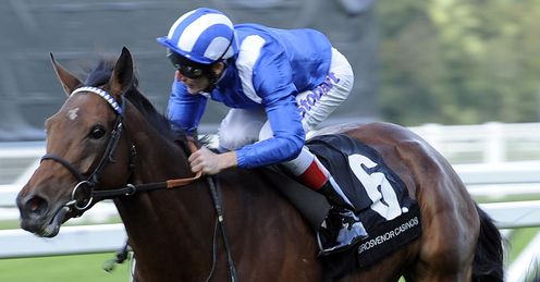 Hawaafez Ascot