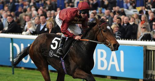 Just The Judge Rockfel Newmarket