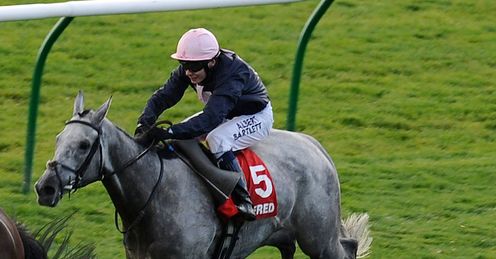 Tominator Cesarewitch