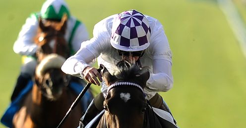 Trading Leather Autumn Stakes