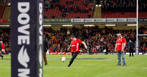 Wales fan kicking dove comp