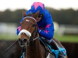 Cue Card
