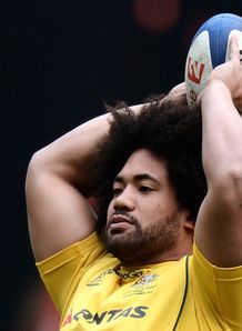 tatafu polota-nau australia wallabies training