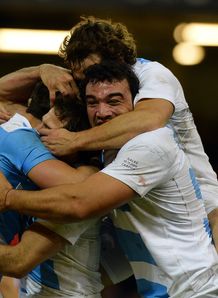 pumas pumas