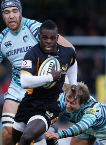 Christian Wade wasps Christian Wade wasps