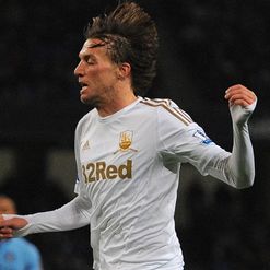 Michu: Knows where the net is