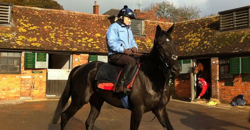 Alex rides Paul Nicholls' horse Black Thunder