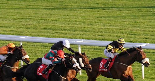 Art Scholar right November Handicap full