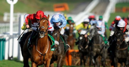 Double Ross Cheltenham full