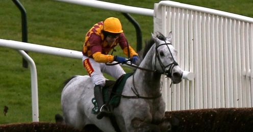 Dynaste Cheltenham full