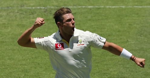 James Pattinson celeb