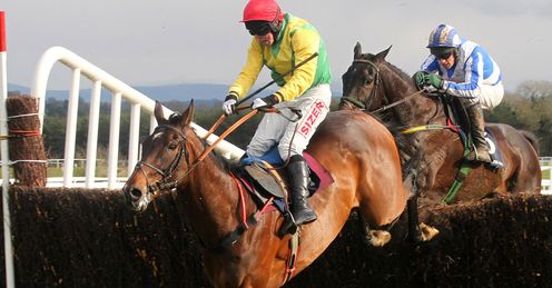  Sizing Europe - Naas