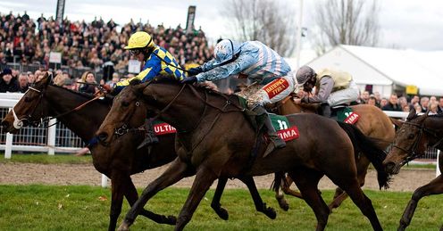  Goulanes - Cheltenham - 17/11/12