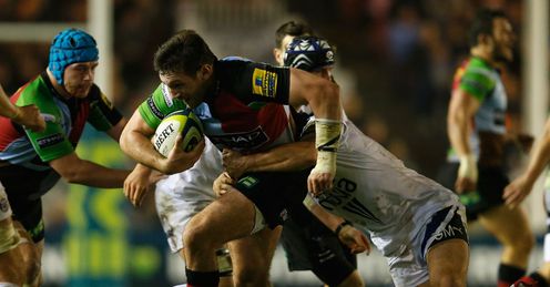 harlequins Tom Guest harlequins Tom Guest