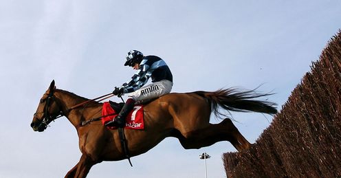  wishfull thinking shloer chase cheltenham