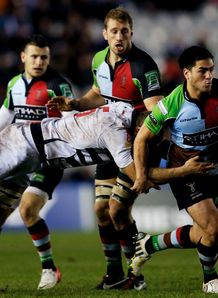 Ben Botica with ball Harlequins Heineken Cup