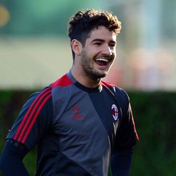 Pato: Homeward bound?