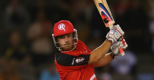 Aaron Finch: has rattled up 221 runs for the Renegades so far in four knocks