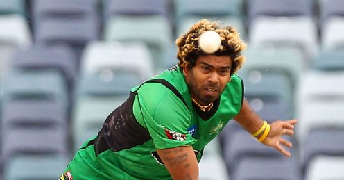 Lasith Malinga Melbourne Stars