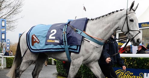 Simonsig: will run in the Game Spirit Chase at Newbury