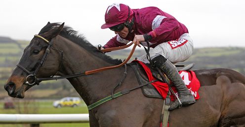 Sir Des Champs: Alex's hunch for the Gold Cup
