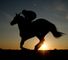 Stay involved in horse riding with some fun initiatives