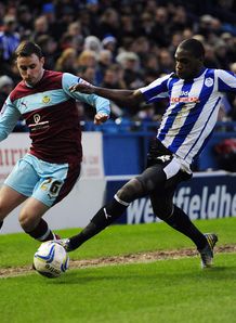Championship: Sheff Wed v Brighton team news