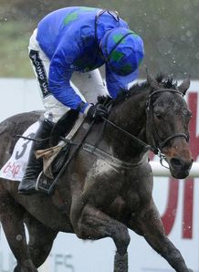 Hurricane Fly in 'great form' ahead of the Champion Hurdle at Cheltenham