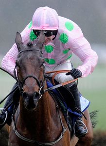 Pont Alexandre produced a stylish display in the Synergy Security Solutions Novice Hurdle at Leopardstown