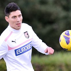 Faurlin: Training with Palermo