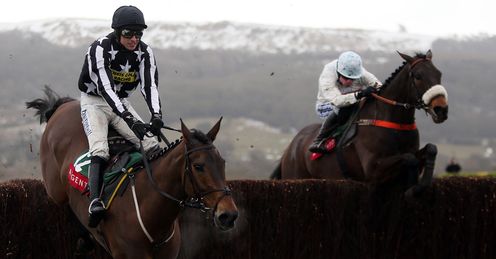 Imperial Commander Cape Tribulation Cheltenham
